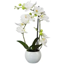 Creativ green Phalaenopsis 3D-print im Keramiktopf, 42cm, weiß, Real Touch