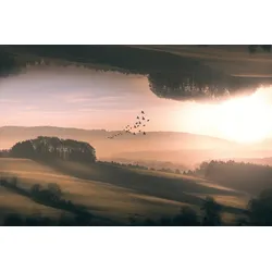 Fototapete PAPERMOON "Photo-Art MARCUS HENNEN, INTERPLANAR", bunt, B:3,50m L:2,60m, Vlies, Tapeten