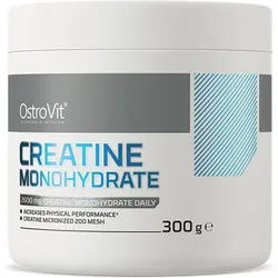 OstroVit Creatine Monohydrate - flavoured (300g) Watermelon EINHEITSGRÖSSE