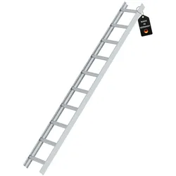 PROREGAL Dachleiter Alu Natur 10 Sprossen
