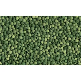 Tetra Pleco Tablets 58 Tab.