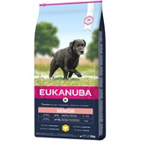 Eukanuba Caring Senior Large Breed 2 x 15 kg