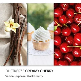 HARIBO Creamy Cherry Duftkerze 510 g rosa-weiß