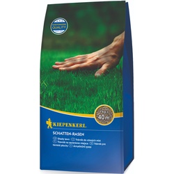Schatten-Rasen Kiepenkerl 1kg