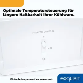 Exquisit KGC250-85-NF-040D Kühl-Gefrierkombination (247 l, 1805 mm hoch, inoxlook-az)