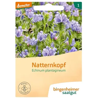 Bingenheimer Saatgut Natternkopf demeter