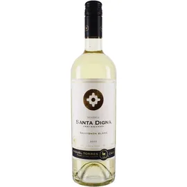 Miguel Torres Santa Digna Reserva 2024