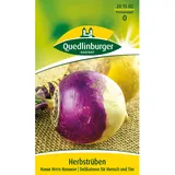 Quedlinburger Herbstrübe ''Ronde Witte Roodkop''