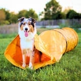 vabiono Agility Profi Sack-Tunnel für Hunde - Hundetunnel 60x300cm Spieltunnel Agilitytunnel Hundehöhle ST