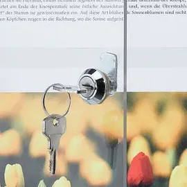 Franken Schaukasten X-tra!Line silber 4x DIN A4 51,0 x 3,0 x 68,0 cm, 1 St.