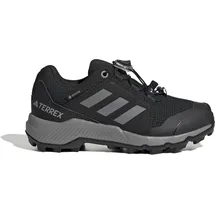 adidas Terrex GTX Wanderschuh Core Black / Grey Three / Core Black 30