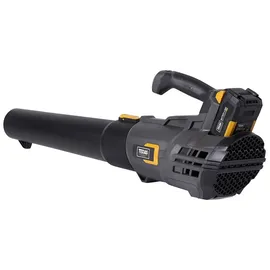 TEXAS LBX2000 inkl. 1 x 20 V