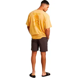 Protest PRTBAIRRO Shorts Grau S