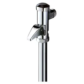 Grohe Dal WC-Druckspüler Silber