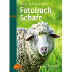 Fotobuch Schafe