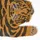 Homescapes Tiger 74 x 37 cm Braun/Orange