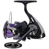 Daiwa 24 Prorex X LT Spinnrolle,