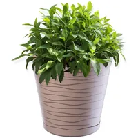 Kadax Blumentopf mit Untersetzer, aus Kunststoff, rund, 15 cm,