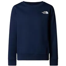 The North Face Box Nse Regular Crew - Pullover Gr S blau