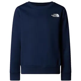 The North Face Box Nse Regular Crew - Pullover Gr S blau