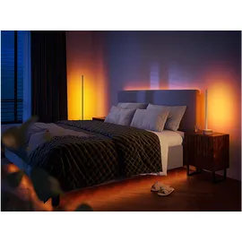 Philips Hue White & Color Ambiance Gradient Signe oak