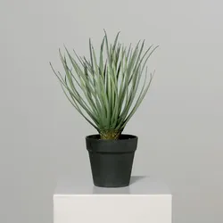 Kunstpflanze Palme - grün - H 34 cm