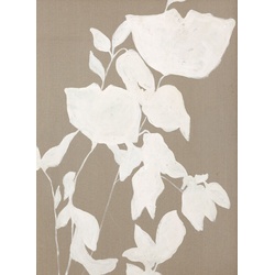 Originalbild FORTUNA WHITE - bunt