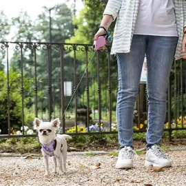 Ferplast Hundeleine Flippy ONE, Rollleine kleine Hunde bis 8 kg. Ausziehbare Schnur max. 3 m. Einzelner Verriegelungs- und Entriegelungsknopf, schwarz