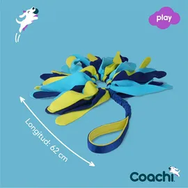 coachi Tuggi Spider blau/gelb