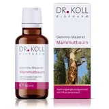 GEMMO-MAZERAT Mammutbaum Dr.Koll Sequoia giga.Tro. 50 ml