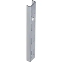 diy element-system gmbh Wandsch.L.2000mm weißaluminum STA zweireihige Lochung