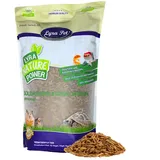 Lyra Pet Soldatenfliegenlarven 1 kg