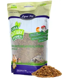 Lyra Pet Soldatenfliegenlarven 1 kg