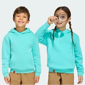 adidas Hoodie Mint 116