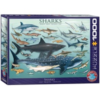 Eurographics Sharks 6000-0079