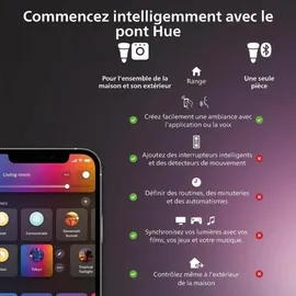 Philips Hue Secure Sicherungskabel 1,5 m Silber