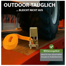 Baumarktplus Spanngurt 6 m 800 kg