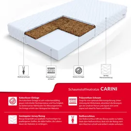 Fdm CARINI Kaltschaum 180 x 200 cm H3/H4