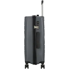 cocoono Leon Koffer-Set 3-tlg. grau