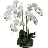 Creativ green Deko-Orchidee im Glas, 50 cm weiß