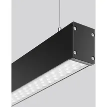 RZB LINEDO 1-flg. 31 W 3000 K schwarz transparent