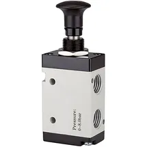 Riegler 5/2-Wegeventil, Druckknopfbetätigung, »3L«, G 1/8, 500l/min