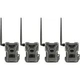 SpyPoint FLEX-M Wildkamera 4er Pack| Preis nach Code NIKOLAUS