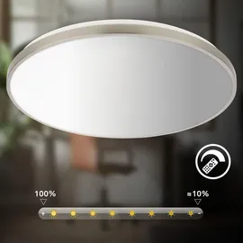 B.K.Licht LED Deckenlampe 1 rund Nickel-matt