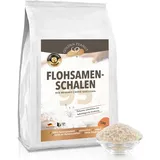 Flohsamenschalen 95% 1kg Ballaststoffe glutenfrei vegan Psyllium Husks sättigend