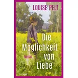 Lübbe Die Möglichkeit von Liebe