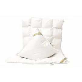 Betten Hofmann Set Kassetten Daunendecke 4x6 135x200 cm + Kissen 80x80 cm