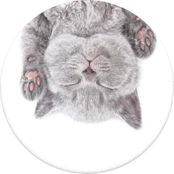 PopSockets PopGrip Cat Nap