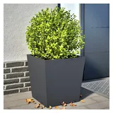 vidaXL Pflanzkübel 50 x 50 x 50 cm Anthrazit