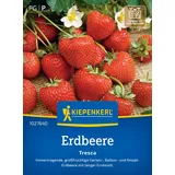 Kiepenkerl Erdbeersamen, Erdbeeren Tresca rot
